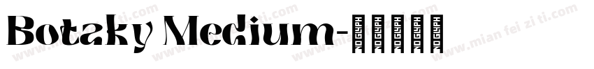 Botaky Medium字体转换